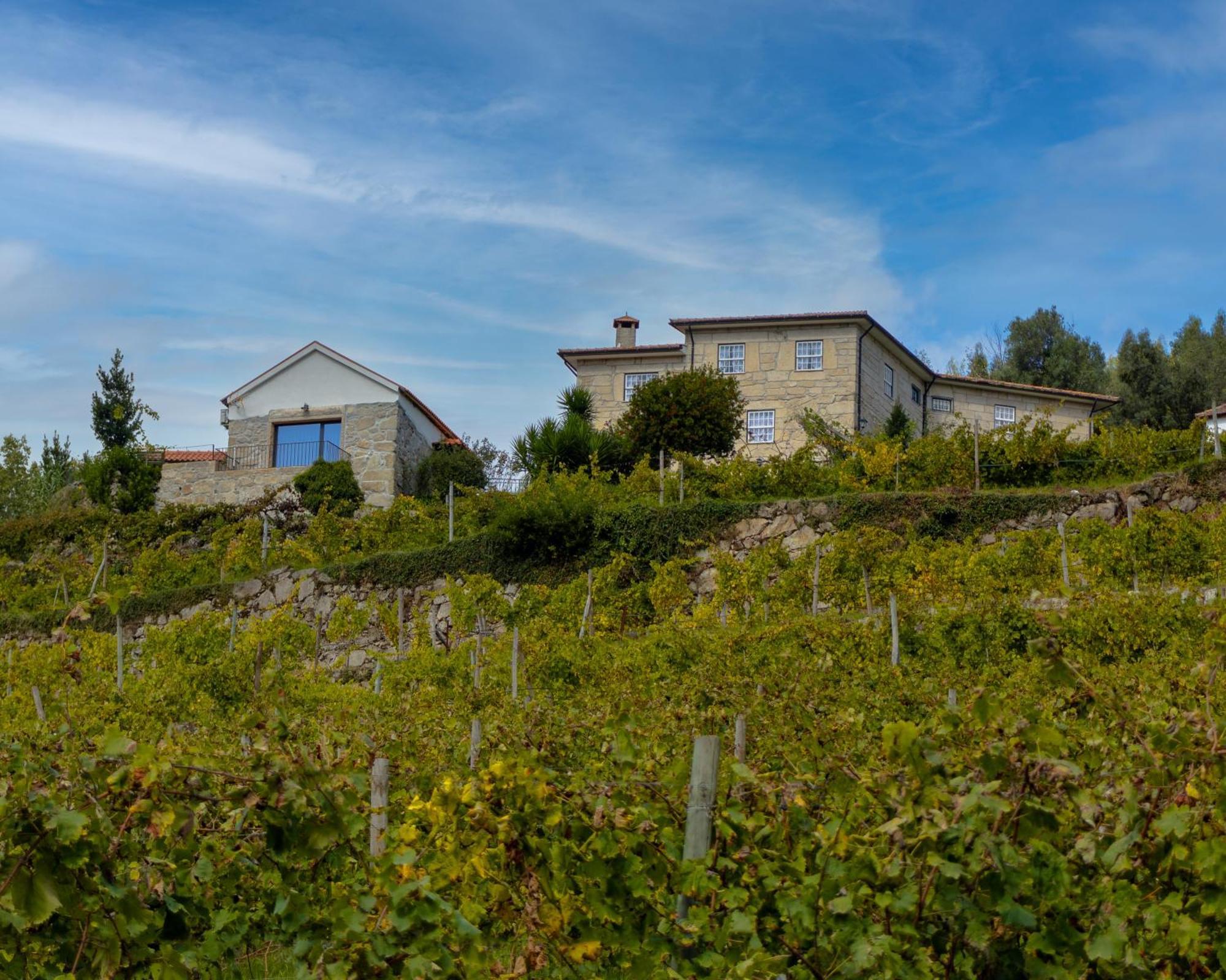 הוילה Moimenta Quinta Do Tapadinho - Wine & Tourism מראה חיצוני תמונה